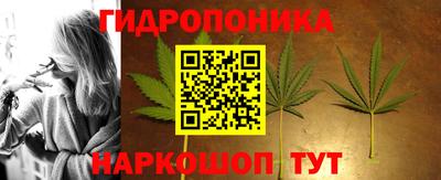 прущие крисы Краснознаменск
