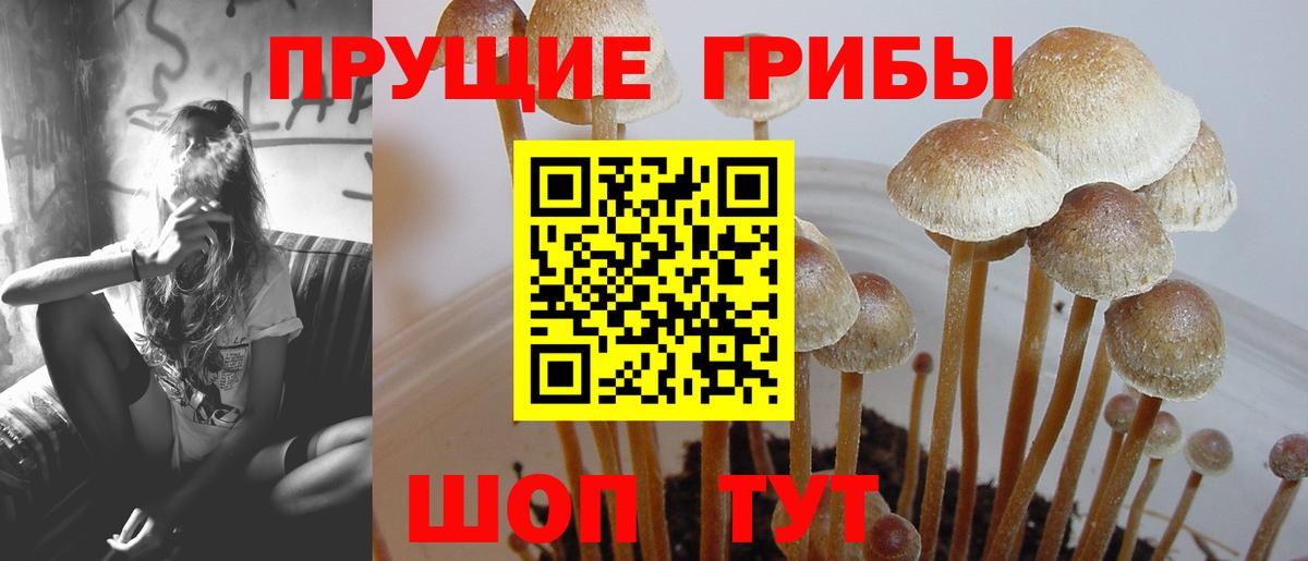 Грязи  Галлюциногенные грибы мухоморы  Псилоцибиновые грибы MAGIC MUSHROOMS  где продают наркотики  Вход с VPN 